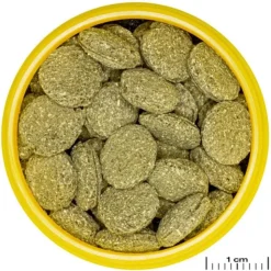 BLUE CORAL Nourriture pour poissons, galettes ProNovo pleco medium, JBL - 2,9 kg, 5,5 litres