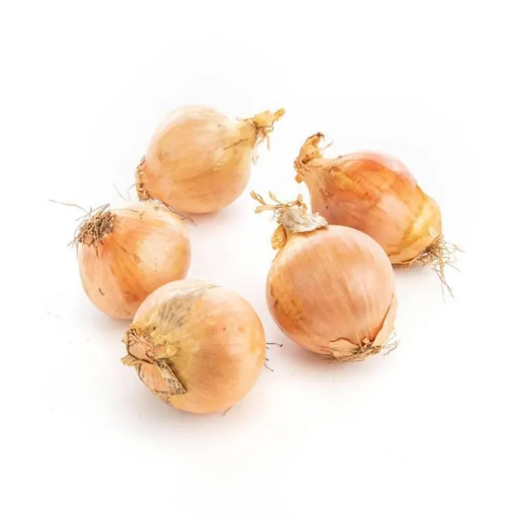 Sale Oignon jaune bio de France – Prix au kg