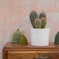 Hot BOTANIC® Pachycereus pringlei en pot blanc émaillé H 20 x Ø 20 cm