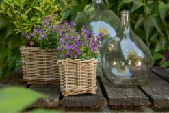 Best EDELMAN Panier carré en osier gris Marcia - 33 x 33 x 30 cm