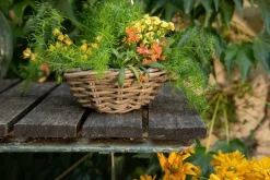 Outlet EDELMAN Panier rond en osier gris Marcia - Ø 41 x H 12 cm