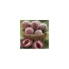 Discount BOTANIC® Pecher Sanguine De Savoie. En racine nue, forme 1/2 tige calibre 8/10
