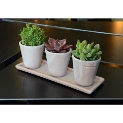 Hot POTERIE GOICOECHEA Petit cuvier rose Ø 10 cm