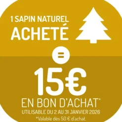 Hot Petit sapin naturel épicéa Picea Pungens Super Blue. Le pot de 5 litres