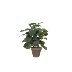 Hot Pilea vert plante artificielle en pot Stan gris H 35 x Ø 25 cm