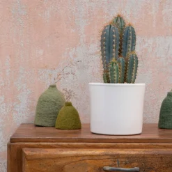 New BOTANIC® Pilosocereus azureus en pot blanc émaillé H 20 x Ø 20 cm