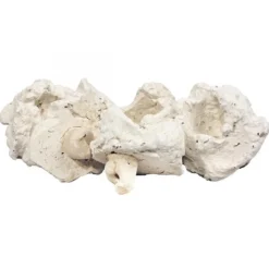 BLUE CORAL Pins à corail en plastique, AQUA MEDIC, modèle Coral - 10 plugs