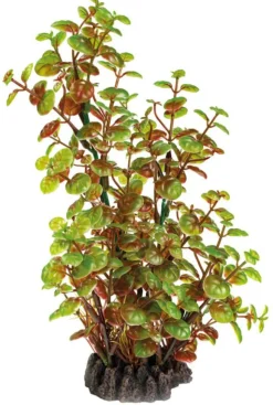 New SUPERFISH Plante artificielle pour aquarium ou terrarium coloris vert Rotala Art Plant M - 25 cm