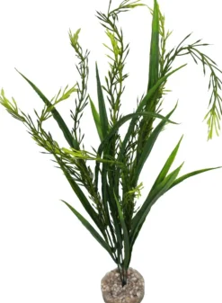 LABEO Plante artificielle pour aquarium coloris vert Elodea MM