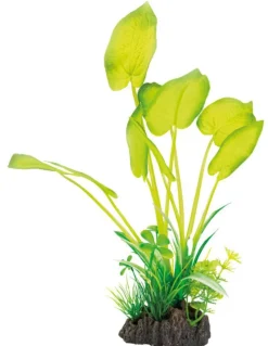 Best SUPERFISH Plante artificielle pour aquarium ou terrarium coloris vert Echinodorus Art Plant M - 25 cm