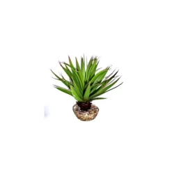 Sale LABEO Plante succulente verte en tissu moyen modèle Ø 10 cm