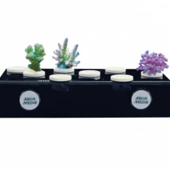 Best BLUE CORAL Plateau de corail magnétique AQUA MEDIC frag board