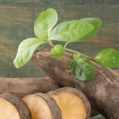 New BOTANIC® Poire De Terre Bio. Le pot de 1 litre