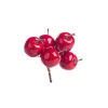 Sale Pomme mini sur fil de fer coloris rouge - Ø 3,5 cm