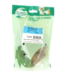 Outlet Pommes de terre Ratte calibre 25/32, 10 plants