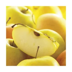 Sale BOTANIC® Pommier Tentation® Delblush. En racine nue, forme 1/2 tige calibre 6/8