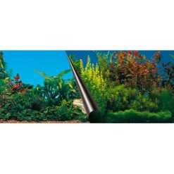 New EUROPET Poster aquarium thème marin, BERNINA, modèle Beauty/Sea - 80x40cm