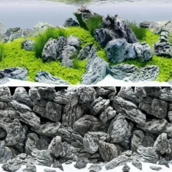 Hot BLUE CORAL Poster de fond aquascape & rock, JUWEL - taille L 100 x 50 cm