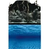 BLUE CORAL Poster 2-en-1 racine/fond marins AQUA NOVA - modèle Roots/Water L - 100x50 cm