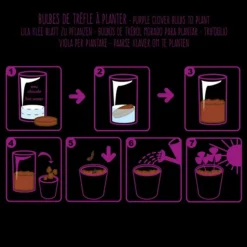 Best RADIS ET CAPUCINE Pot Black Trèfle pourpre à semer 6.5x12 cm