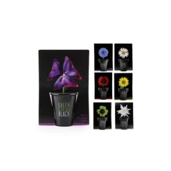 Best RADIS ET CAPUCINE Pot Black Trèfle pourpre à semer 6.5x12 cm