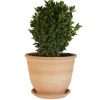 Clearance TERRABLANCA Pot Campanas lisse en terre cuite - D30x H28
