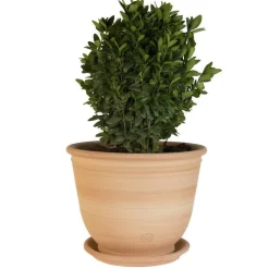 Clearance TERRABLANCA Pot Campanas lisse en terre cuite - D30x H28