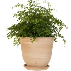 Discount TERRABLANCA Pot Campanas lisse en terre cuite - D40xH35