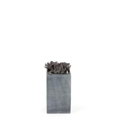 Outlet MICA DÉCORATIONS Pot carré mi-haut Stream coloris anthracite 19x19x33 cm