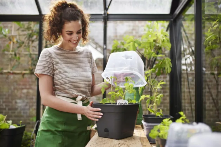 Online ELHO Pot de culture carré coloris living noir Green Basics Allin1 - Ø 15 cm