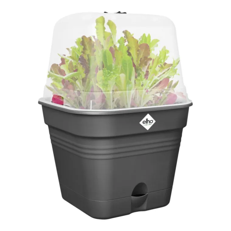 Online ELHO Pot de culture carré coloris living noir Green Basics Allin1 - Ø 15 cm