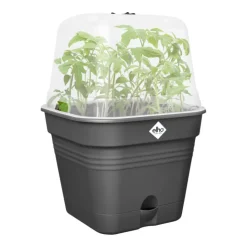 Online ELHO Pot de culture carré coloris living noir Green Basics Allin1 - Ø 15 cm