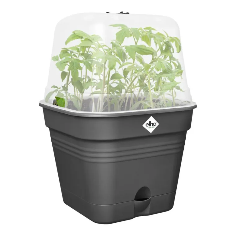 Online ELHO Pot de culture carré coloris living noir Green Basics Allin1 - Ø 15 cm