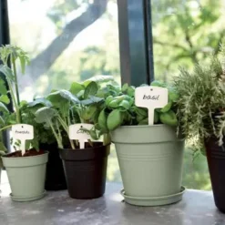 Online ELHO Pot de culture en polypropylène vert pierre Green basics - Ø 15 x H 13,9 cm