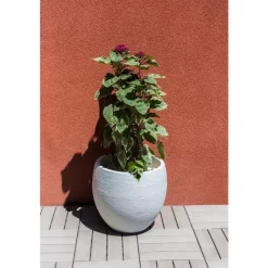 EDA Pot egg Graphit blanc cérusé D50 x H45