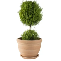 Online TERRABLANCA Pot gamme Coco Ø 26 cm