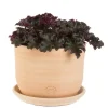 Outlet TERRABLANCA Pot gamme macetero Ø 31 cm