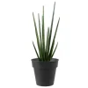 Sale DECOLINES Pot horticole en acier peint anthracite Ø 19 x H 17 cm