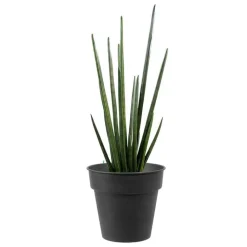 Sale DECOLINES Pot horticole en acier peint anthracite Ø 19 x H 17 cm