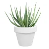 DECOLINES Pot horticole en terre cuite émaillée Blanc - D10 x H8.5