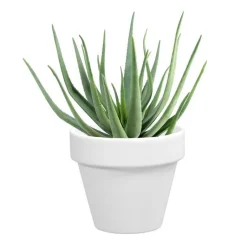 DECOLINES Pot horticole en terre cuite émaillée Blanc - D10 x H8.5