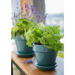 Best DECOLINES Pot horticole émaillé de 2,4 L coloris bleu Ø 19 x H 17 cm