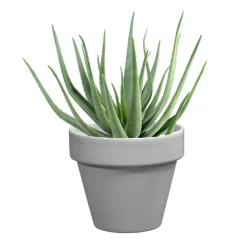 Clearance DECOLINES Pot horticole émaillé gris Ø 10 cm
