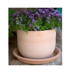 TERRABLANCA Pot Macetero terre cuite claire D26XH20