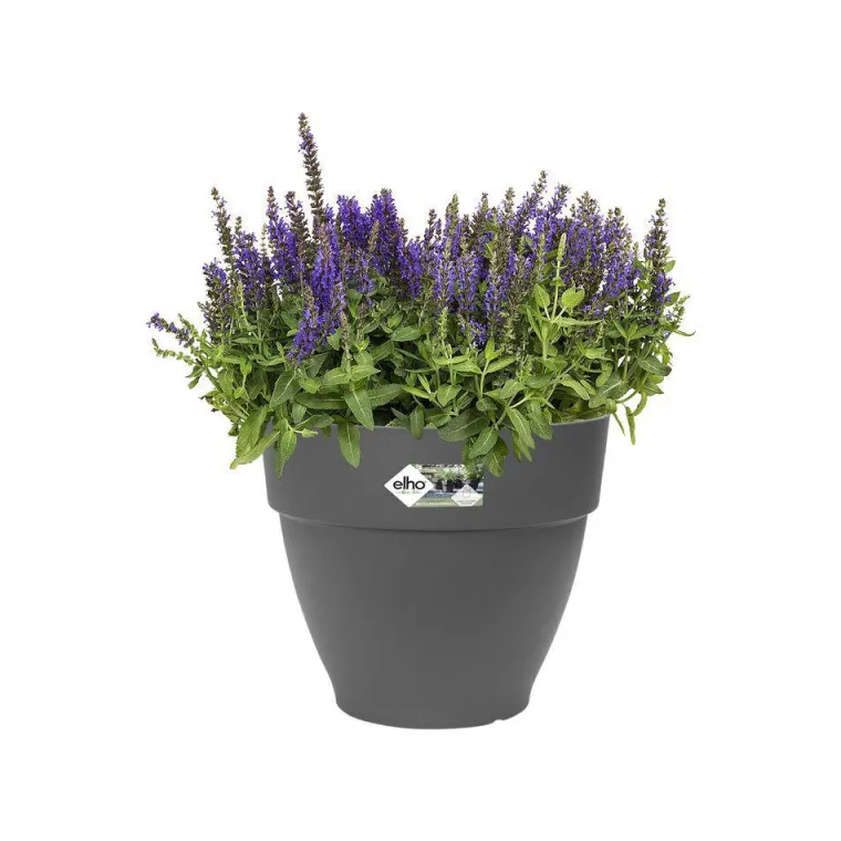 Discount ELHO Pot vibia campana rond de 11 L coloris noir Ø 30 x H 25 cm