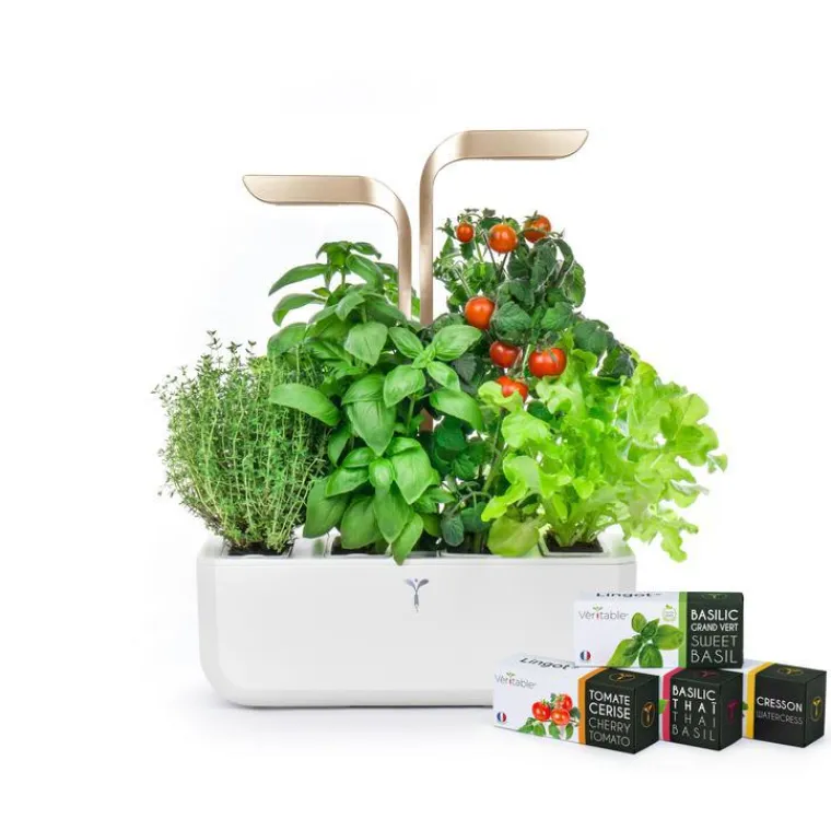 Discount VÉRITABLE Potager d'intérieur autonome Véritable® CONNECT – Moonlight Gold - livré avec 4 lingots