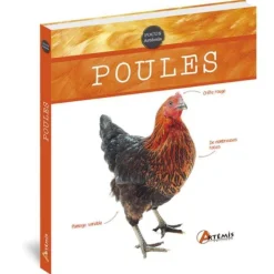 Best ÉDITIONS ARTEMIS Poules aux éditions Artemis