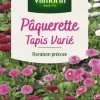 Sale VILMORIN Pâquerette Tapis varié - graines à semer