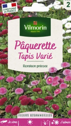 Sale VILMORIN Pâquerette Tapis varié - graines à semer