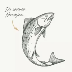 Hot BABIN Pâtée pour chat au saumon terrine Bab'in Signature - 80 g